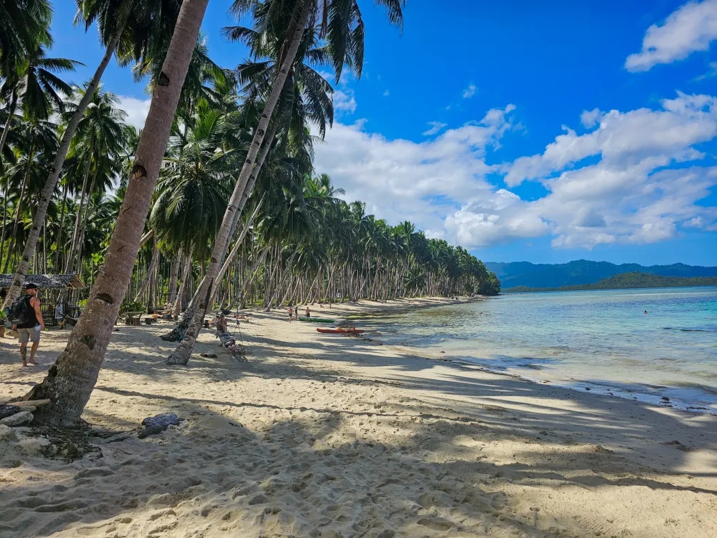 Coconut Beach is perfect for a lazy afternoon, a beachside picnic, or simply watching the world slow down 